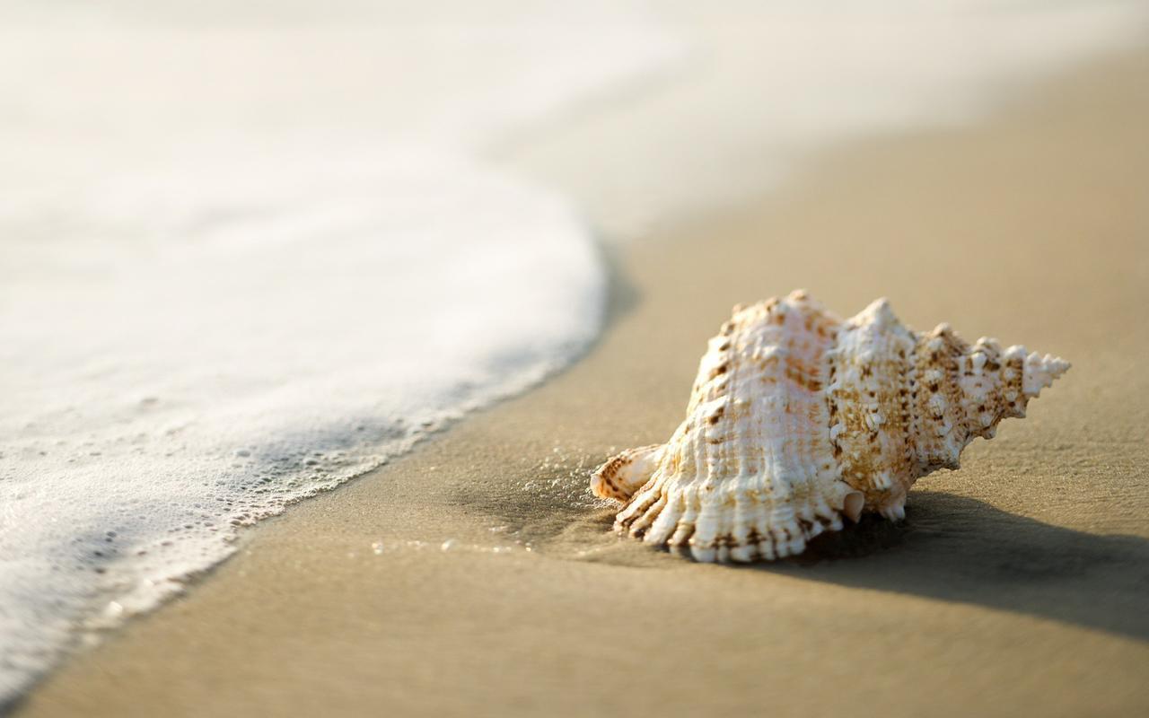 White Shell Beach House Kannur Buitenkant foto